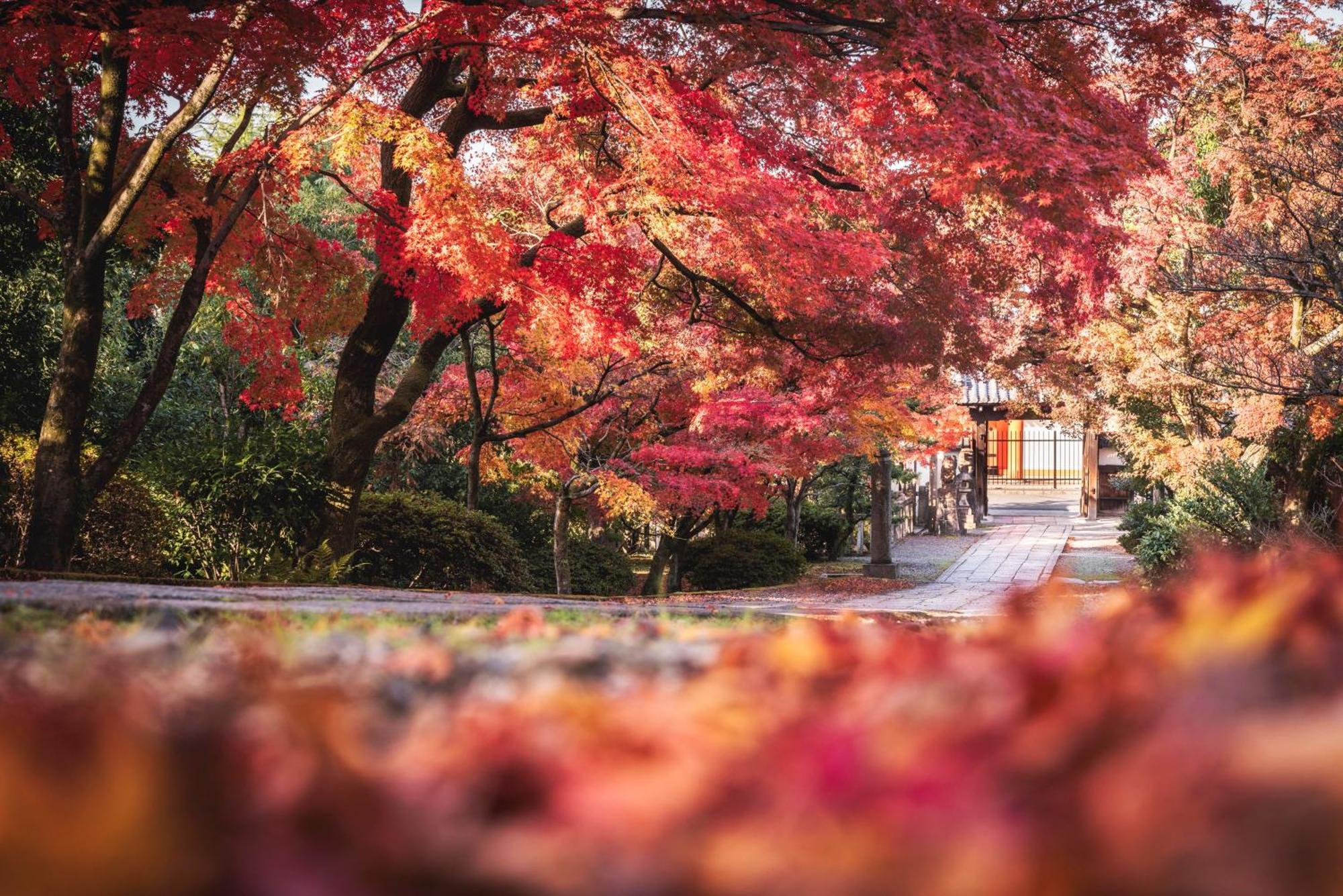Omo5 Kyoto Gion By Hoshino Resorts מראה חיצוני תמונה